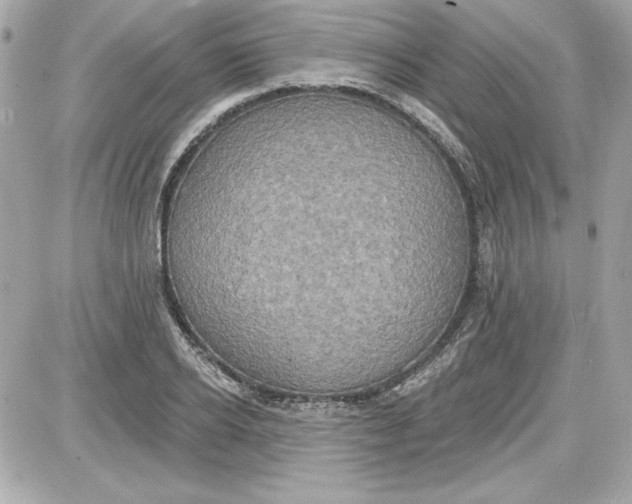 X0000087410934200705111847