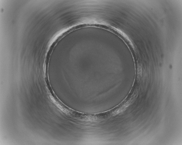 X0000087410935200705111847