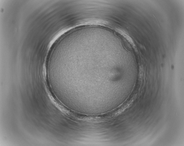 X0000087410936200705111848