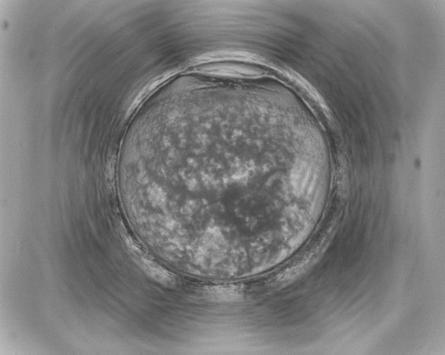 X0000087410937200705111848