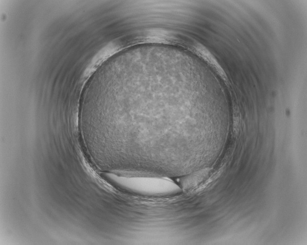 X0000087410938200705111848