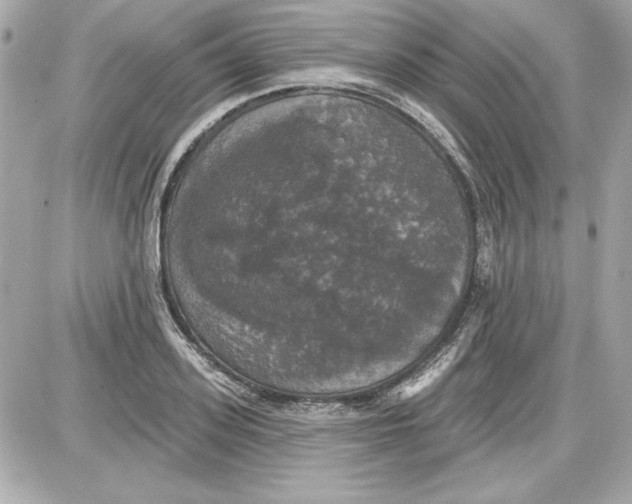 X0000087410939200705111848