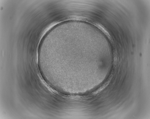 X0000087410940200705111848