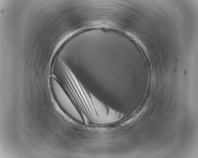 X0000087410941200705111848