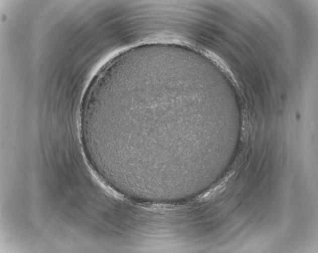 X0000087410942200705111848