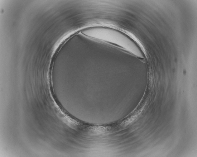 X0000087410943200705111848