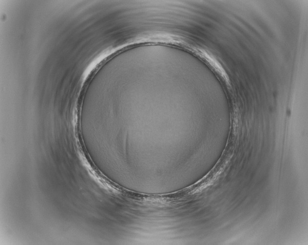 X0000087410944200705111848