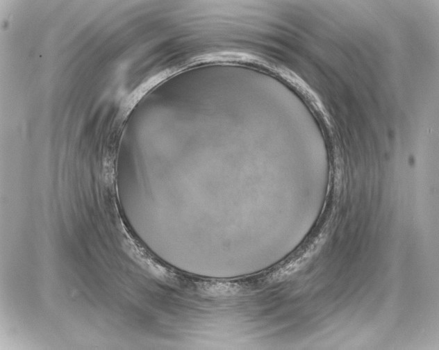 X0000087410945200705111848