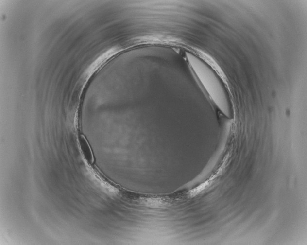 X0000087410946200705111848