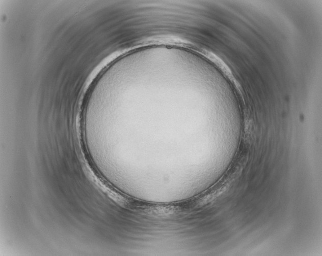 X0000087410947200705111848