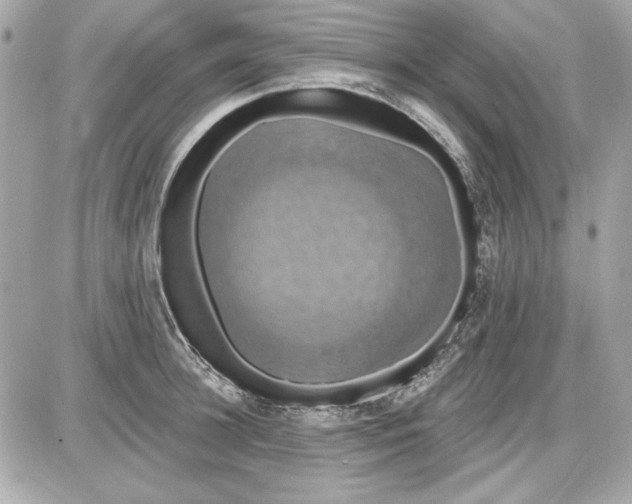 X0000087410948200705111848