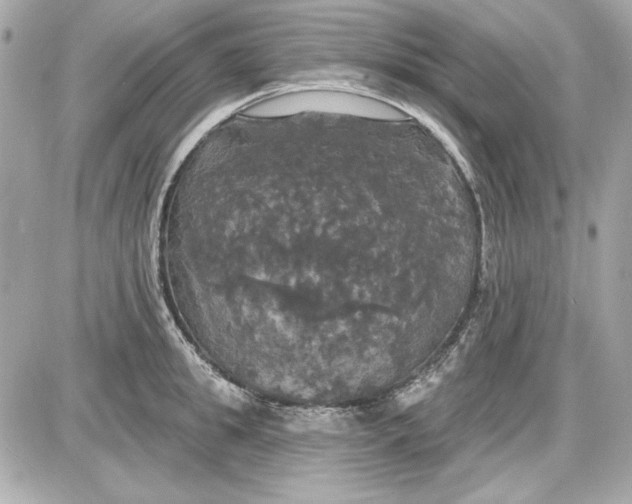 X0000087410949200705111848