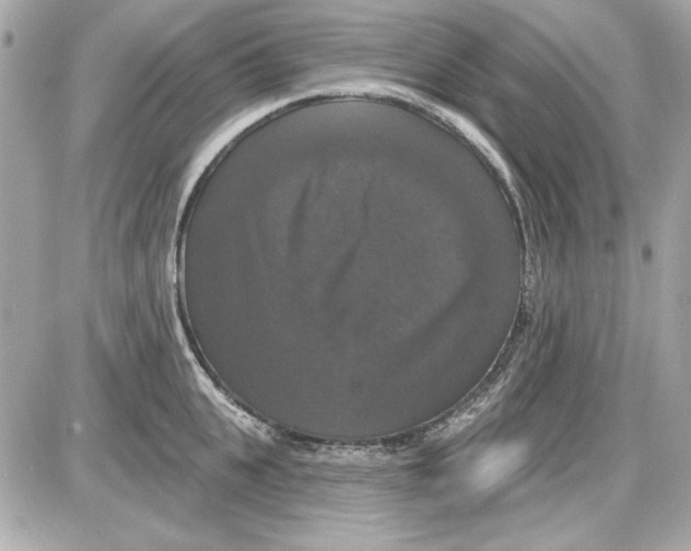 X0000087410951200705111848