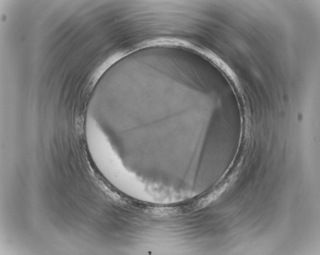 X0000087410953200705111848