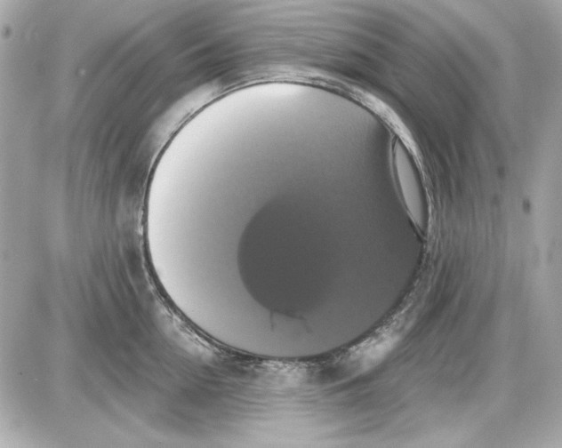 X0000087410954200705111848