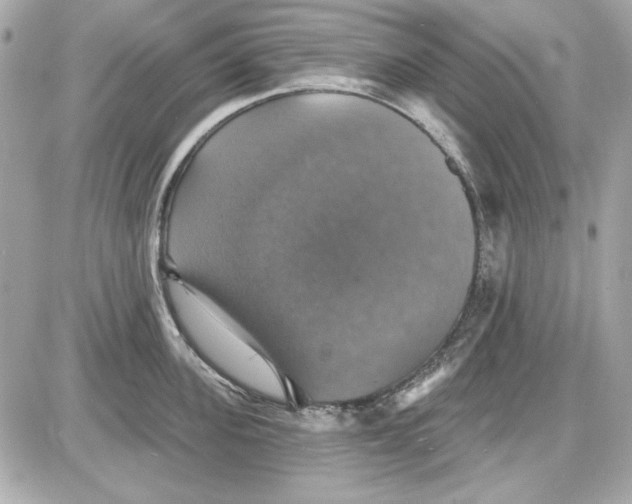 X0000087410955200705111848