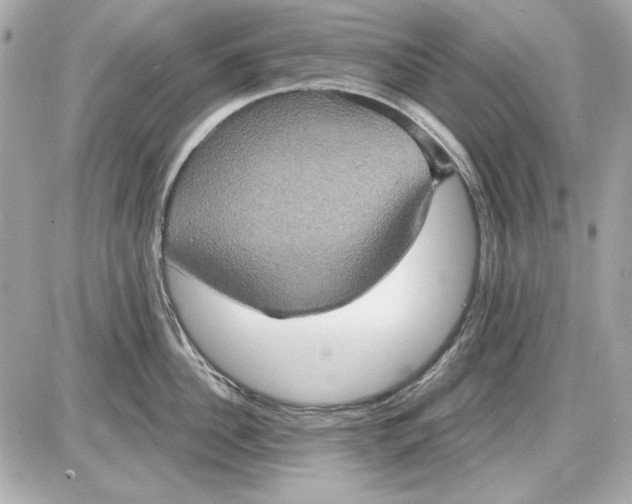 X0000087410956200705111848