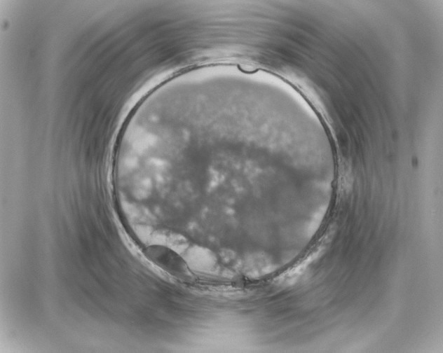 X0000087410957200705111848