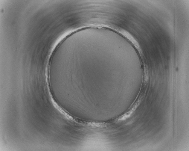 X0000087410958200705111848