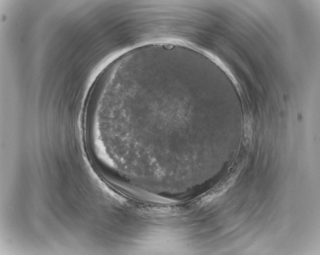 X0000087410959200705111848