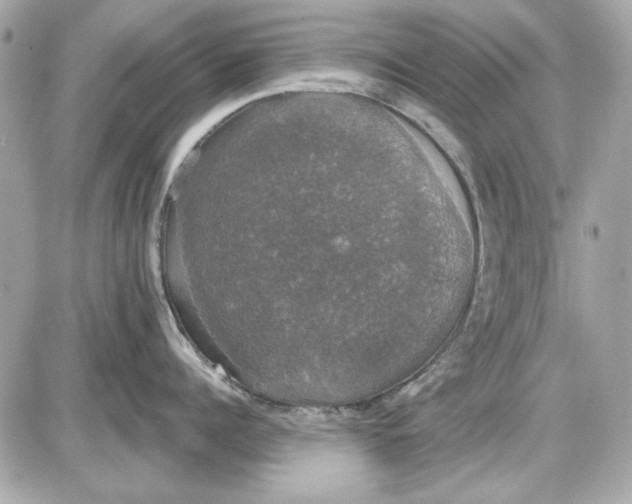 X0000087410960200705111848