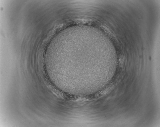 X0000087410961200705111847