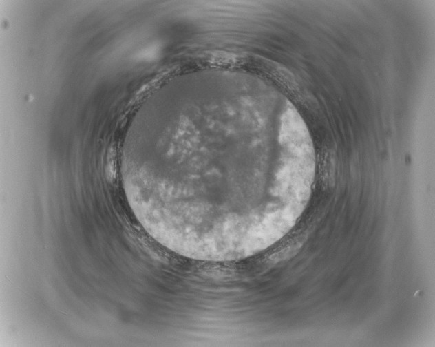 X0000087410962200705111847