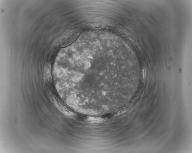 X0000087410963200705111847