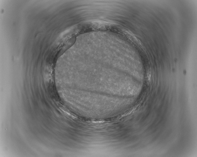 X0000087410964200705111847