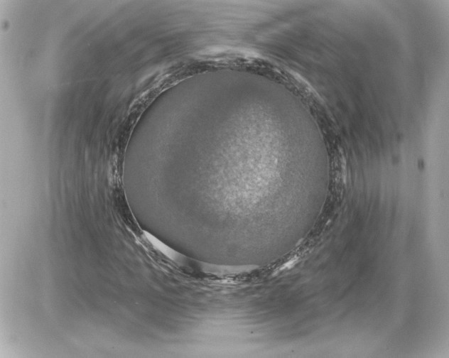 X0000087410965200705111847