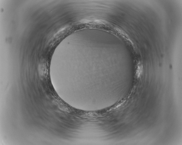 X0000087410966200705111847