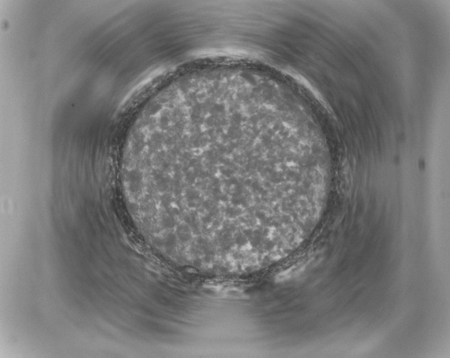 X0000087410967200705111847