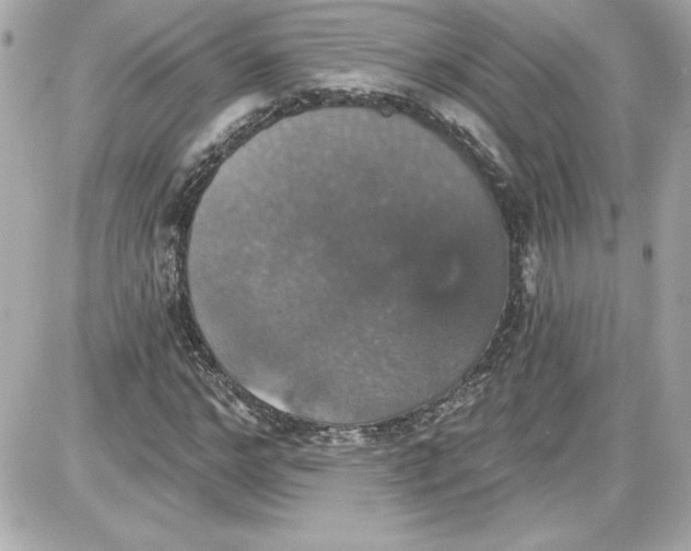 X0000087410968200705111847