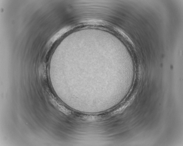 X0000087410970200705111847