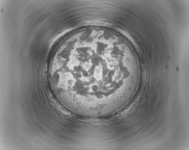 X0000087410971200705111847