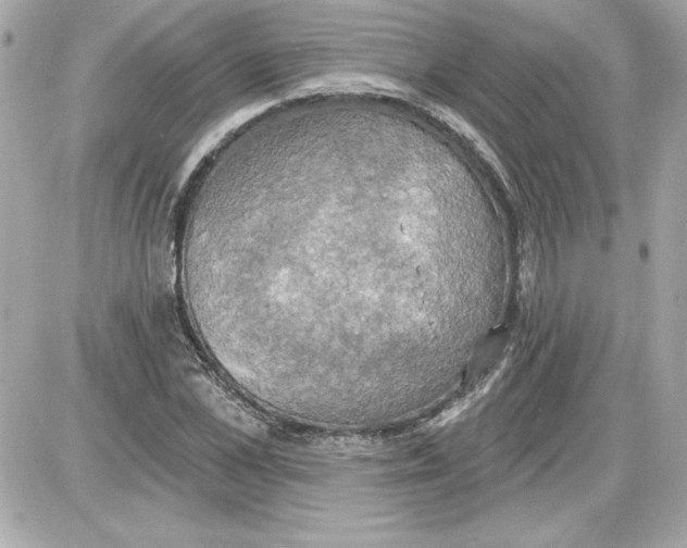 X0000087410973200705111847