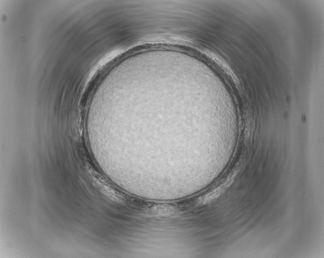 X0000087410974200705111847