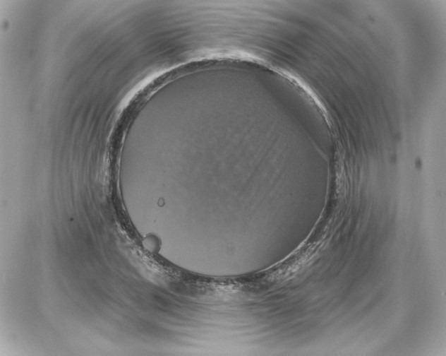 X0000087410975200705111847