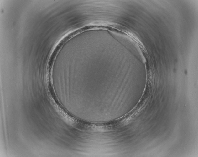 X0000087410976200705111847