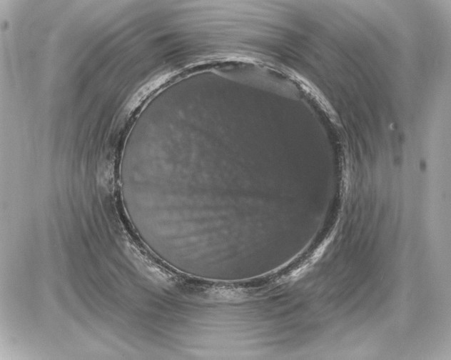 X0000087410977200705111847