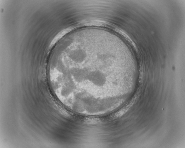 X0000087410978200705111847