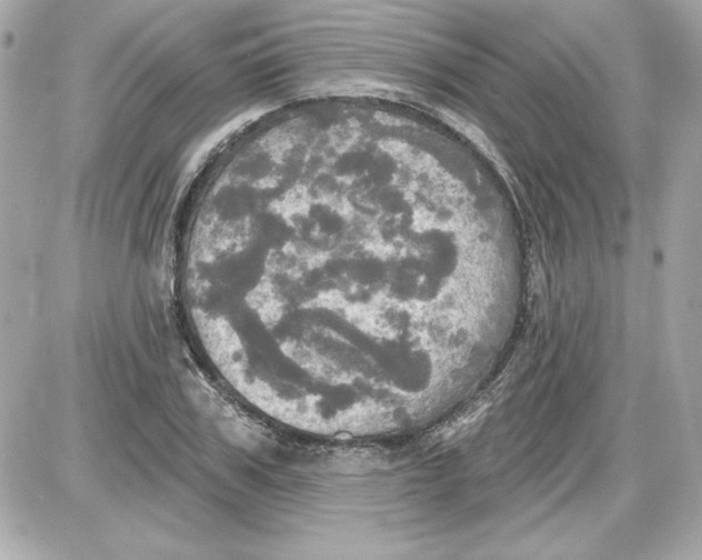 X0000087410979200705111847