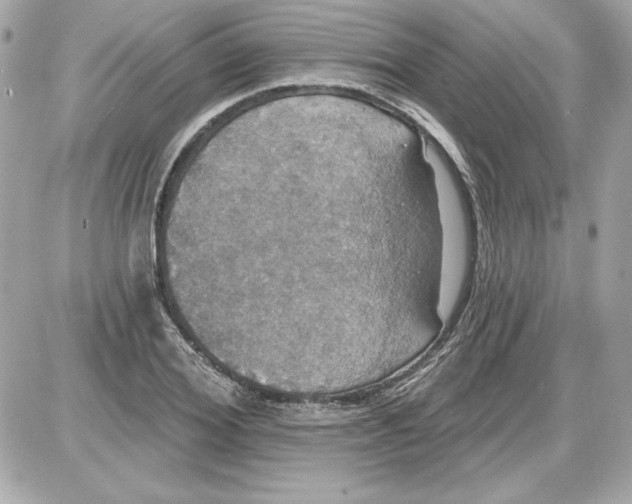 X0000087410980200705111847