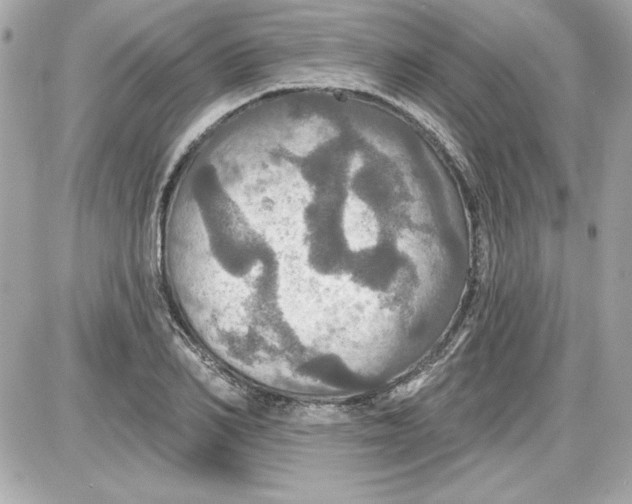 X0000087410982200705111847