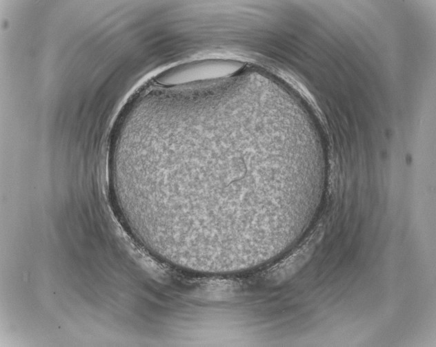 X0000087410984200705111847