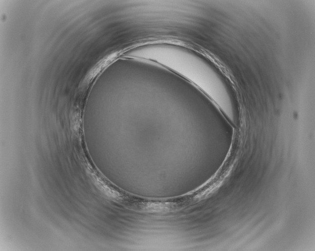 X0000087410985200705111847