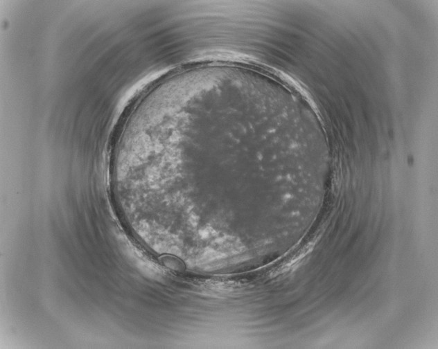 X0000087410987200705111847