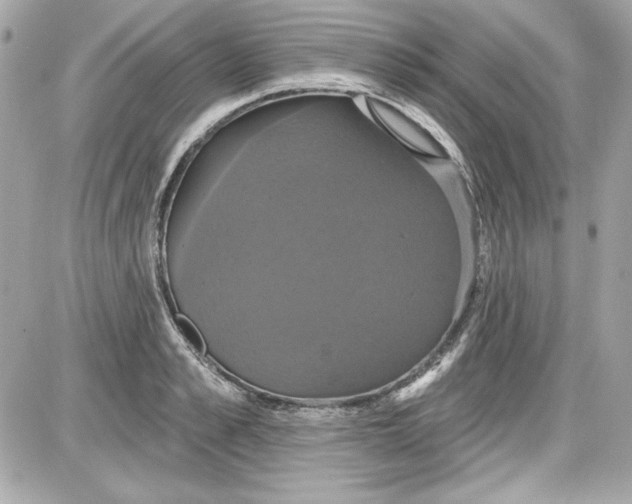 X0000087410989200705111847