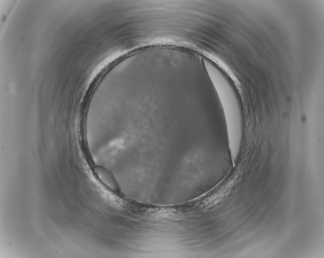 X0000087410991200705111847