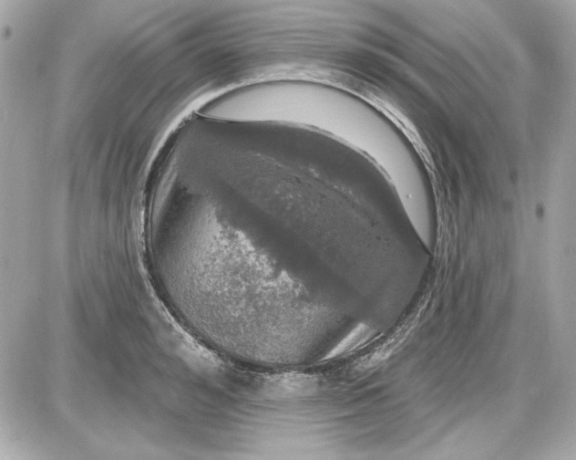 X0000087410992200705111847